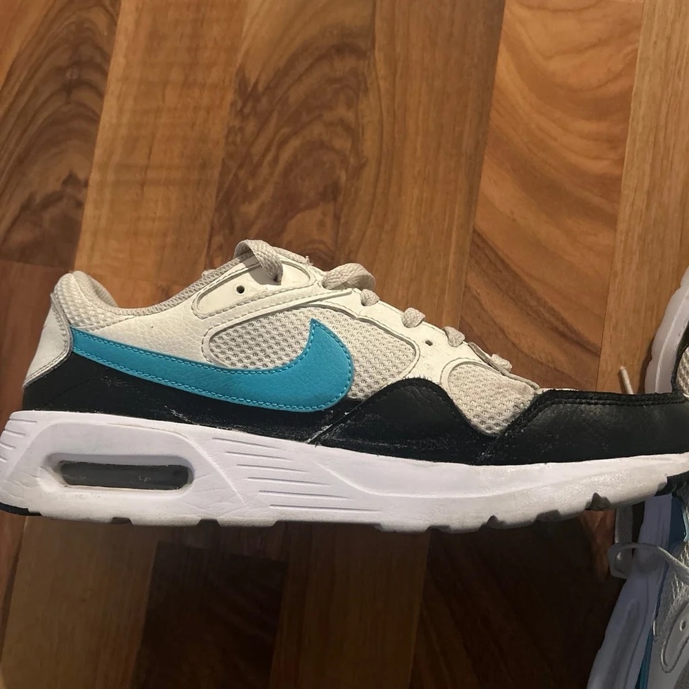 Slightly worn Nike Air Max with blue check mark
